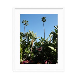 BHH | Fine Art Framed Prints that arrive ready-to-hang | Travel & Coastal Photography | Beverly Hills Hotel | Los Angeles