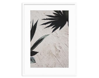 DESERT SILHOUETTES | Fine Art Prints that arrive ready-to-hang | Travel & Coastal Photography | Mexico | Beach | Luxury Travel Aesthetics