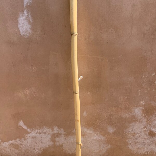 Walking Stick Pipe Etsy