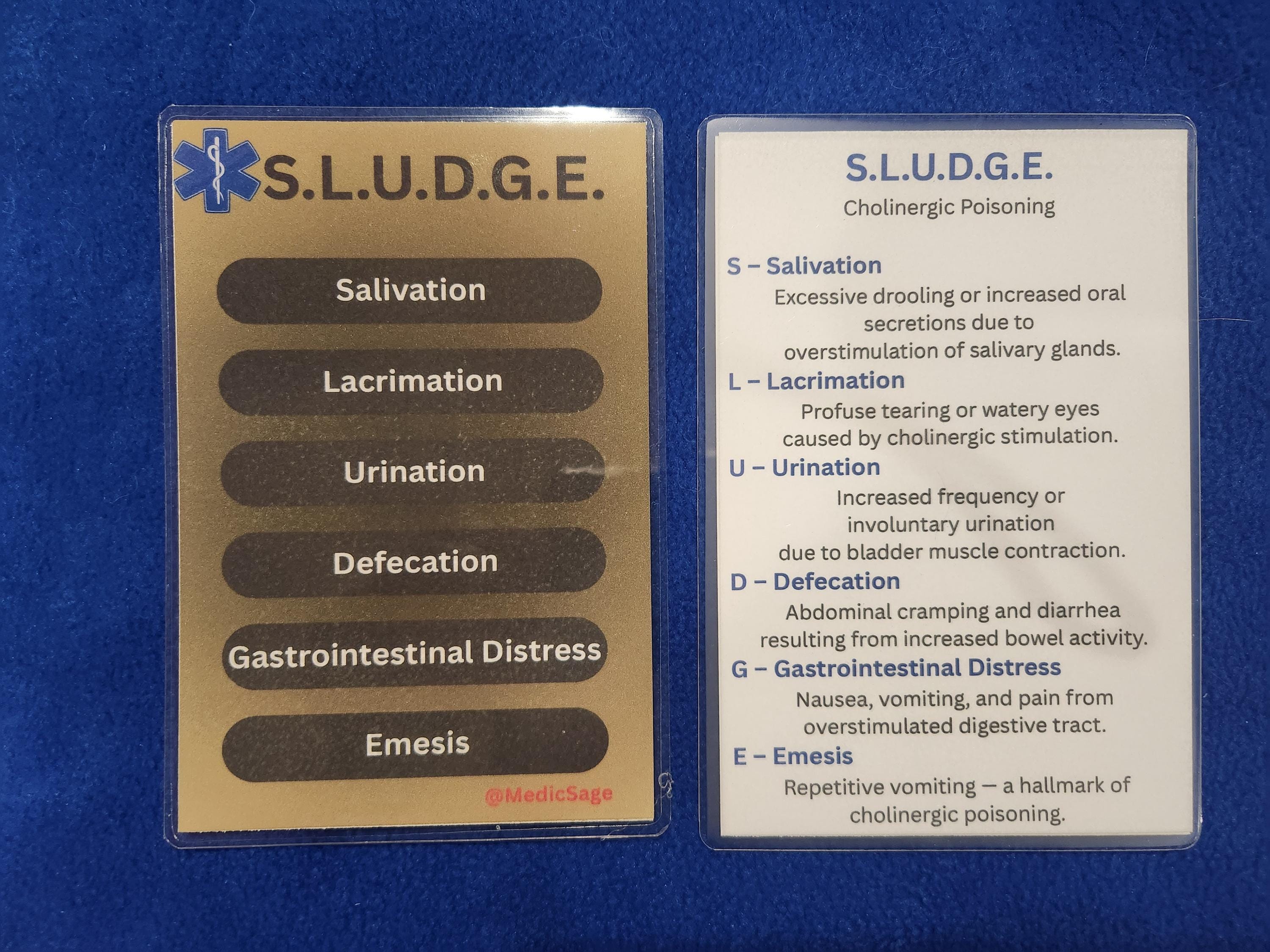 Individual Laminated First Responder EMS Study Cards - Etsy