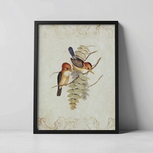 Vintage Bird Illustration Art Print: Antique Style (Instant Download)