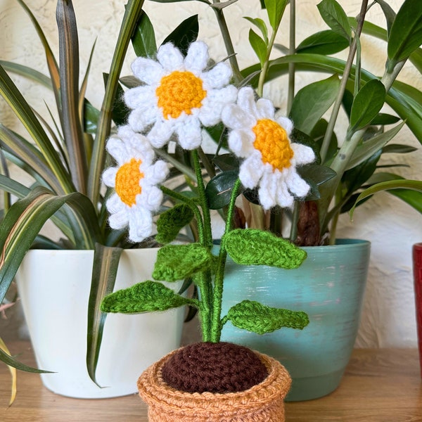 Handmade Crocheted Daisies in Pot, Unique Floral Gift for Mom, Birthday or Anniversary