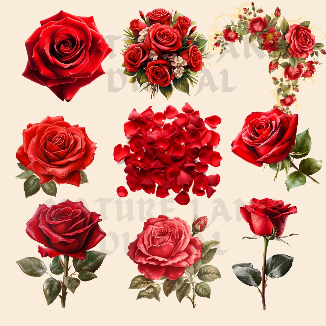 Red Roses Clipart - Elegant Floral Designs -PNG Clip Art Printable ...