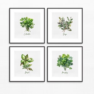 Square Art Print Set Kitchen Wall Art: Fresh Herbs Watercolor Print Set of 4 - Instant Download