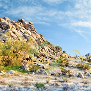 Desert Mountains, Arizona Mountain, Mountain Sunset, Cacti, Desert Print, Wall Decor, Wall Art, Desert Landscape Photography