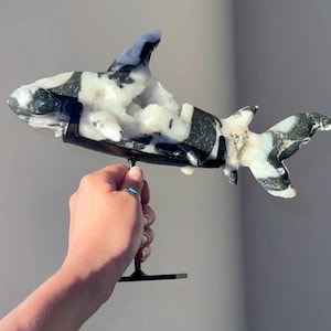 Beautiful Super Druzy Sphalerite Crystal Hammerhead Shark Natural Crystal Stone Carving |  Gemstone Shark Ocean Themed Home Decor