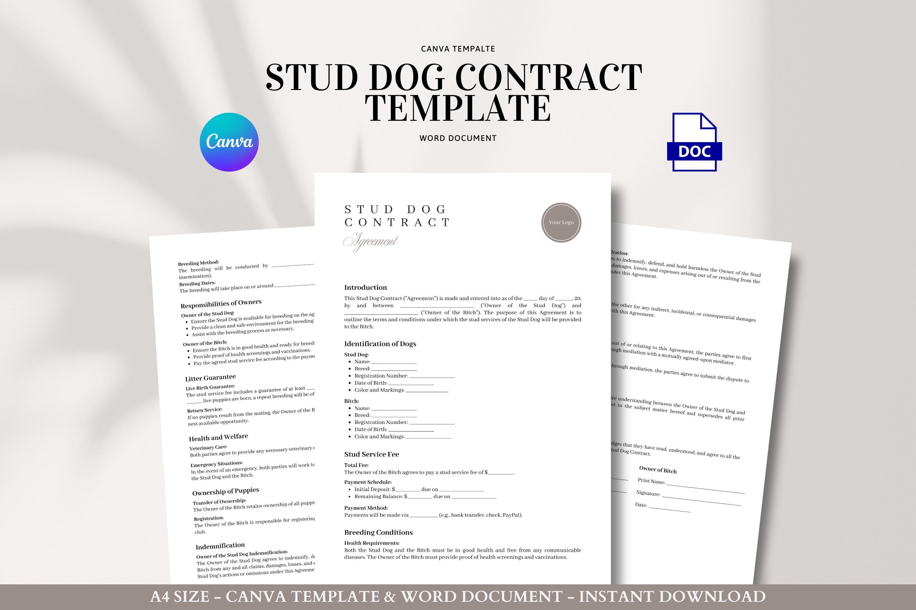 Payment Agreement Form Vets Near Me Payment Plans Vet Clinic New