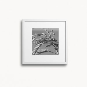 Black and White Leaves Print, Botanical Print, Botanical Wall Art, Dried Grass Print, Plant Prints, Botanical Posters, Black and White Art