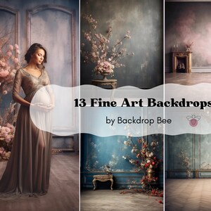 13 Fine Arts Textured Digital Backdrops, Maternity Boudoir Digital Backdrop Overlays, Studio Photography Digital Backdrop