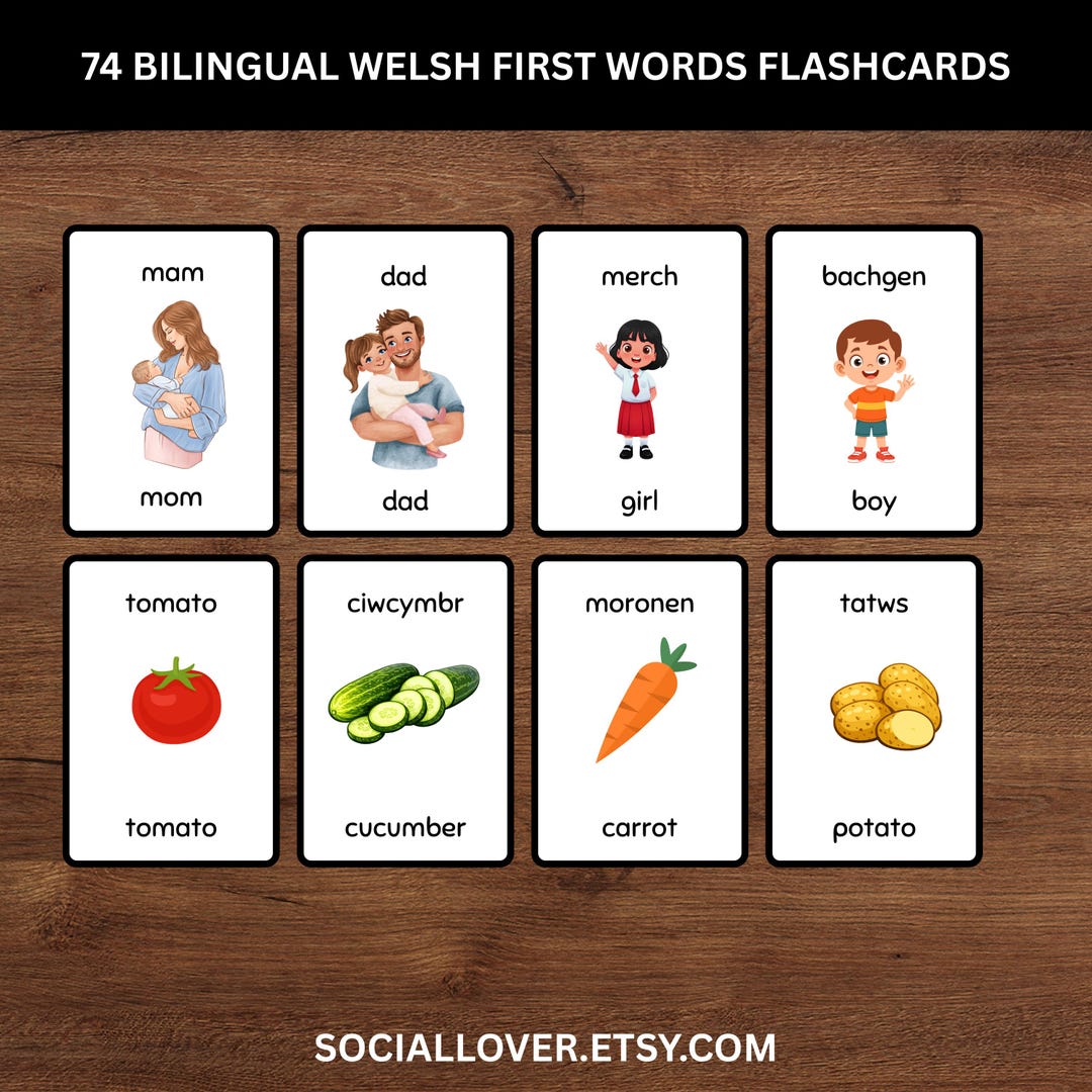 74 Welsh First Words Flashcards for Kids Toddler Kindergarten ...