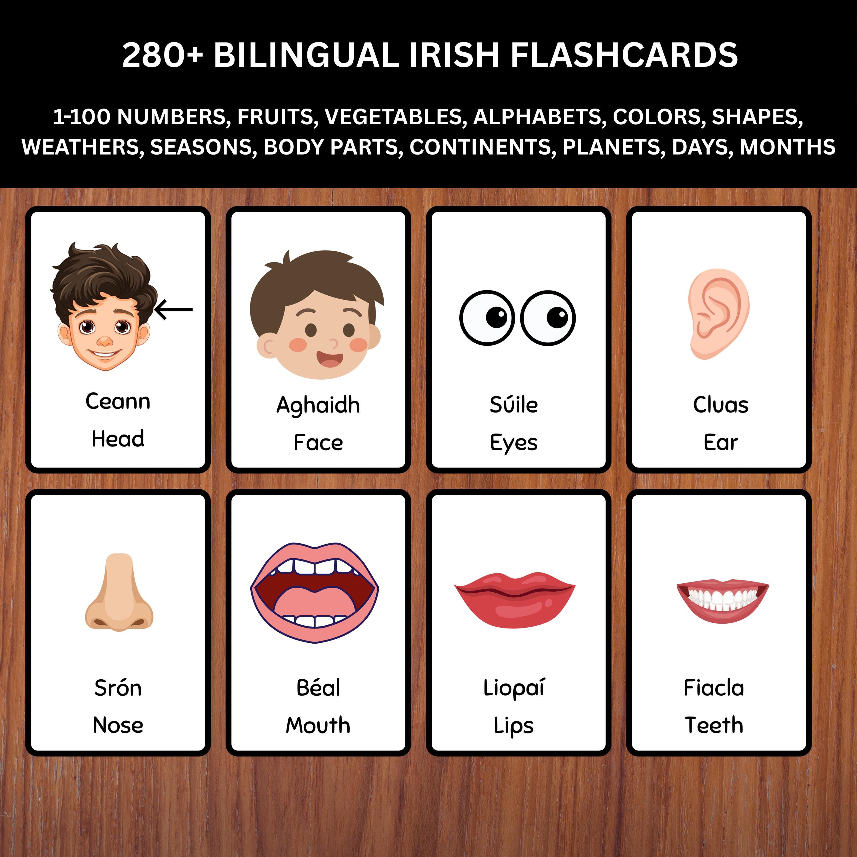 280+ Bilingual Irish English Flashcards Instant Download PDF - Etsy