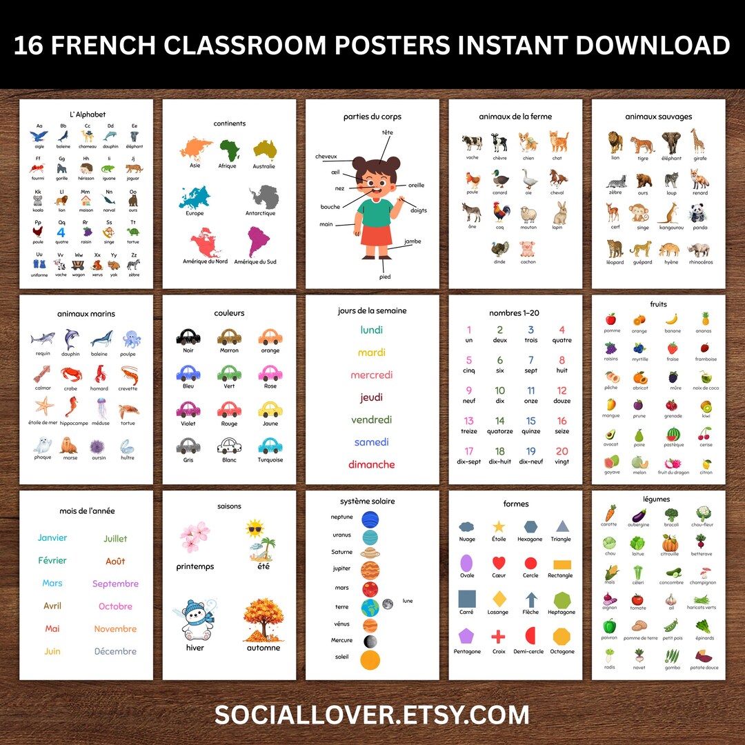 16 French Educational Classroom Posters Charts Set Instant Download ...