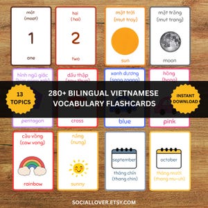 280+ Bilingual Vietnamese English Flashcards Instant Download PDF