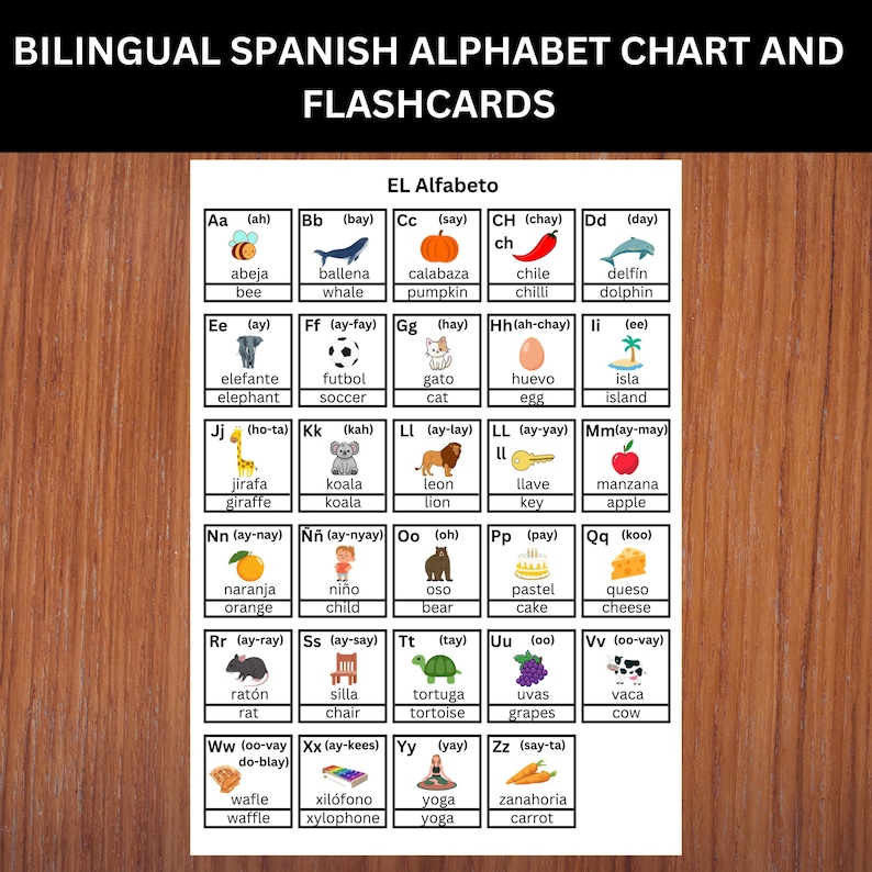 Bilingual Spanish Alphabet Chart and Flashcards With English ...