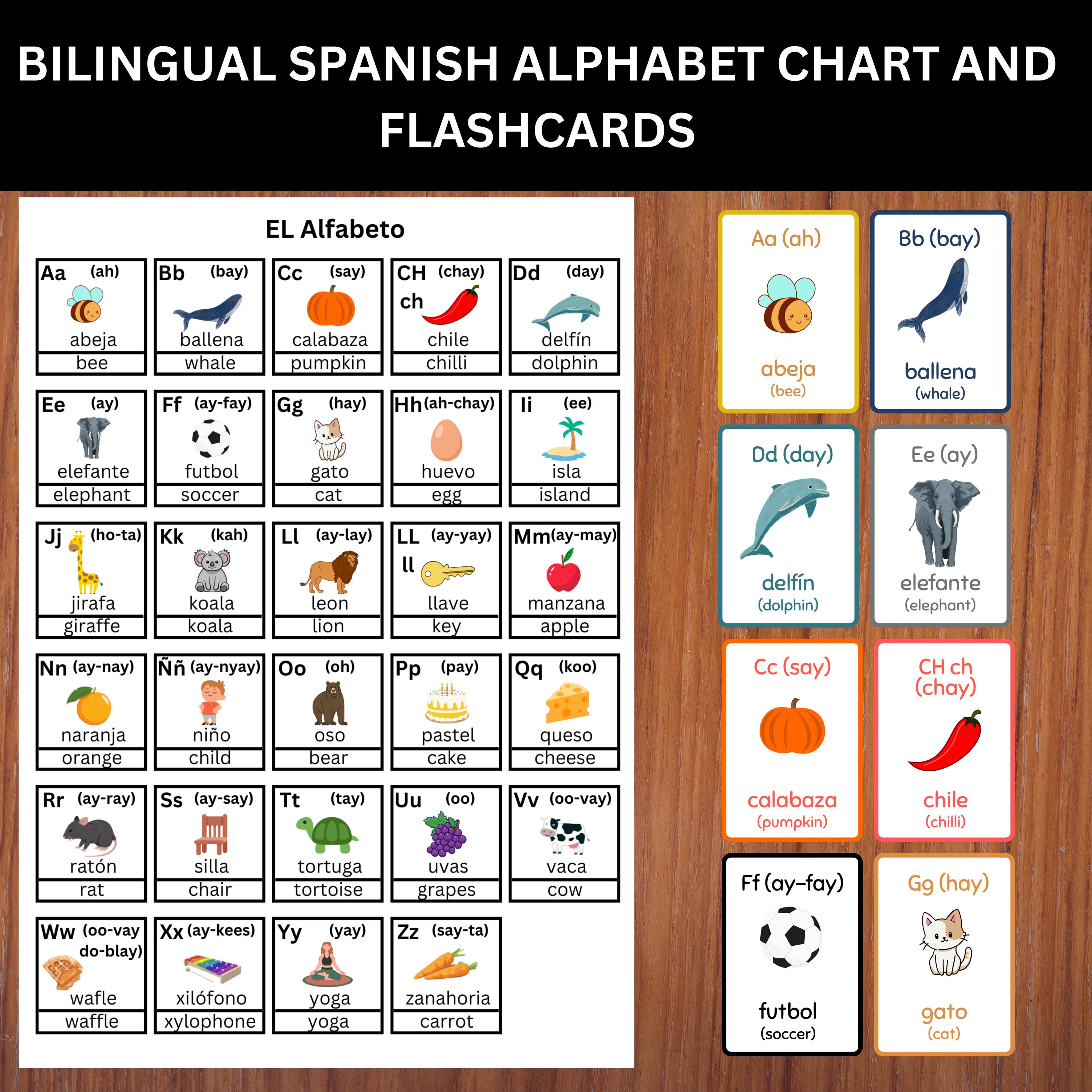 Bilingual Spanish Alphabet Chart and Flashcards With English