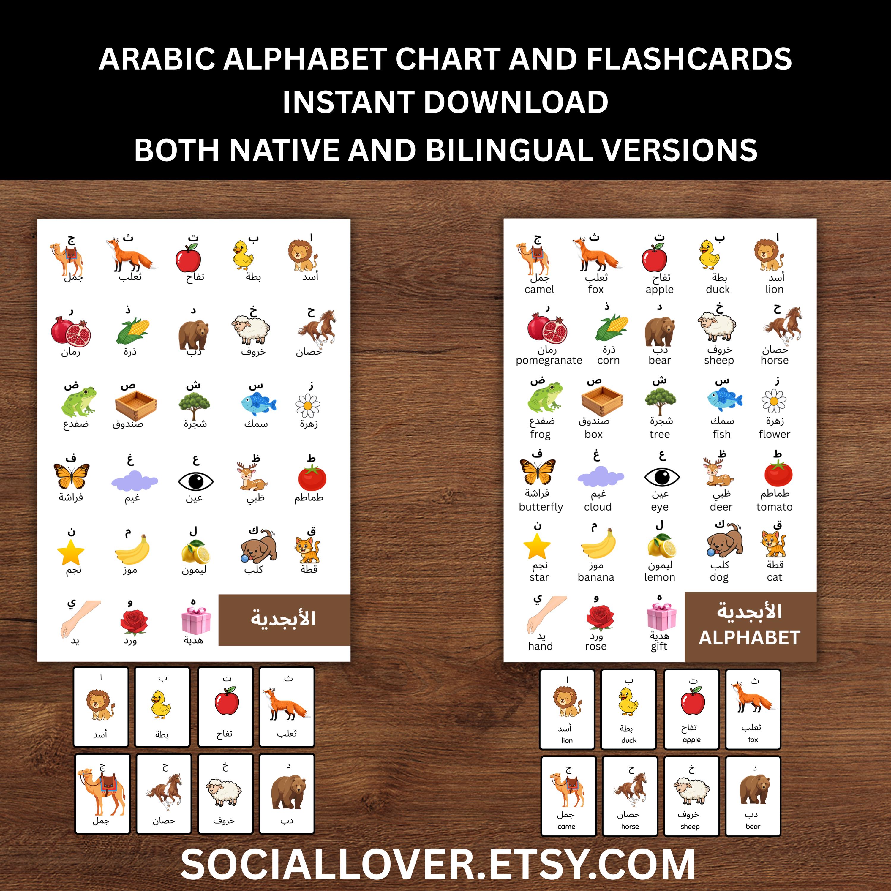 Arabic ABC Alphabets Chart Poster & Flashcards Bilingual English ...