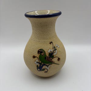 VTG Tonala Mexican Sandstone Hand Painted Pottery Vase w/Parrot, leaves and foliage.