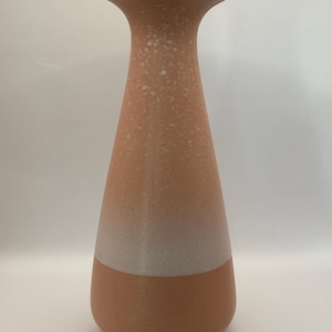 May include: A tall, terracotta-colored vase with a flared top and a wide base. The vase has a two-tone design, with a white band separating the darker base from the speckled, lighter upper portion. The vase is approximately 12 inches tall.