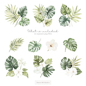 May include: A set of 56 watercolor illustrations of tropical leaves and flowers. The illustrations are in shades of green and white. The text "What is included: 56 separate png files" is written in black.