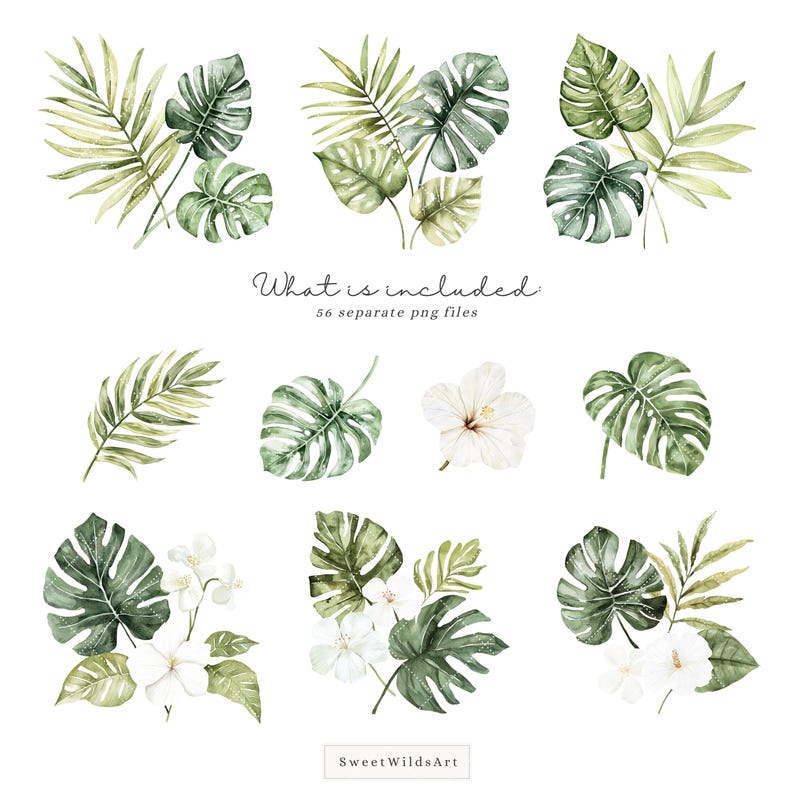 May include: A set of 56 watercolor illustrations of tropical leaves and flowers. The illustrations are in shades of green and white. The text "What is included: 56 separate png files" is written in black.