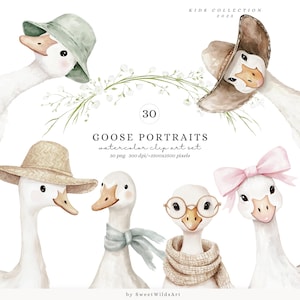 Clipart ritratti di oche ad acquerello, Clipart di oche carine e sciocche, Animali da asilo nido, Clip art per baby shower, Cottagecore vintage primaverile
