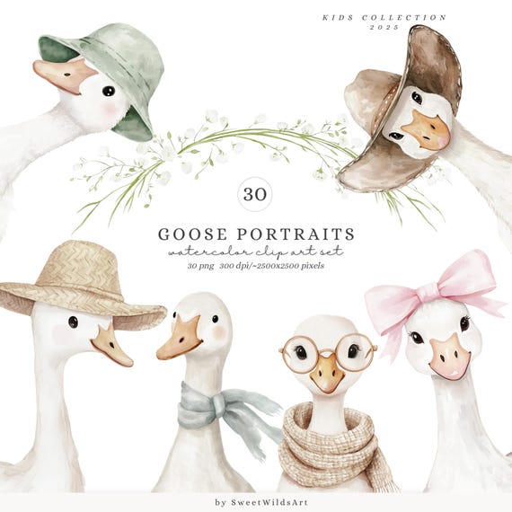 Watercolor Goose Portraits Clipart, Cute Silly Goose Clipart, Nursery Baby Animals, Baby Shower Clip Art, Spring Vintage Cottagecore