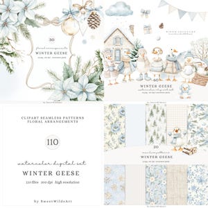 Può includere: Una collezione di arte digitale a tema invernale, con illustrazioni ad acquerello. Il set include composizioni floreali, motivi senza cuciture e immagini di oche in abiti invernali. Il testo sull'immagine recita "WINTER GEESE".