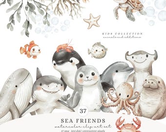 Watercolor Cute Sea Animals Clipart, Ocean Animals PNG, Sealife, Underwater Animals, Animal Nursery,  Cute Baby Animals, Baby Shower Clipart