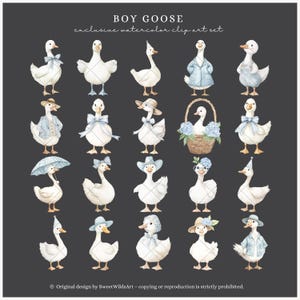 Akvarell pojkegås Clipart, blå fånig gås PNG, kokett barnkammardekor, boho babyshower-clipart, babypojkefödelsedag PNG, digitalt bild 6
