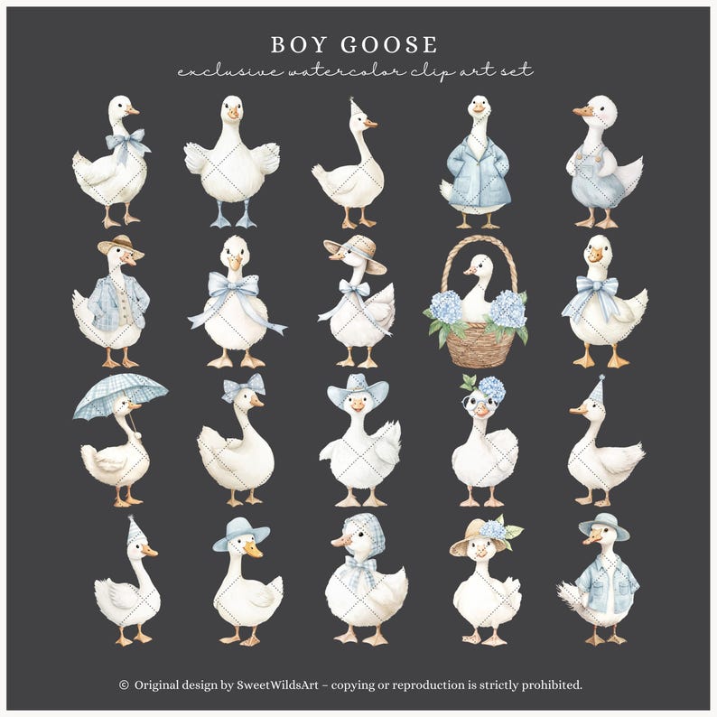 Akvarell pojkegås Clipart, blå fånig gås PNG, kokett barnkammardekor, boho babyshower-clipart, babypojkefödelsedag PNG, digitalt bild 6