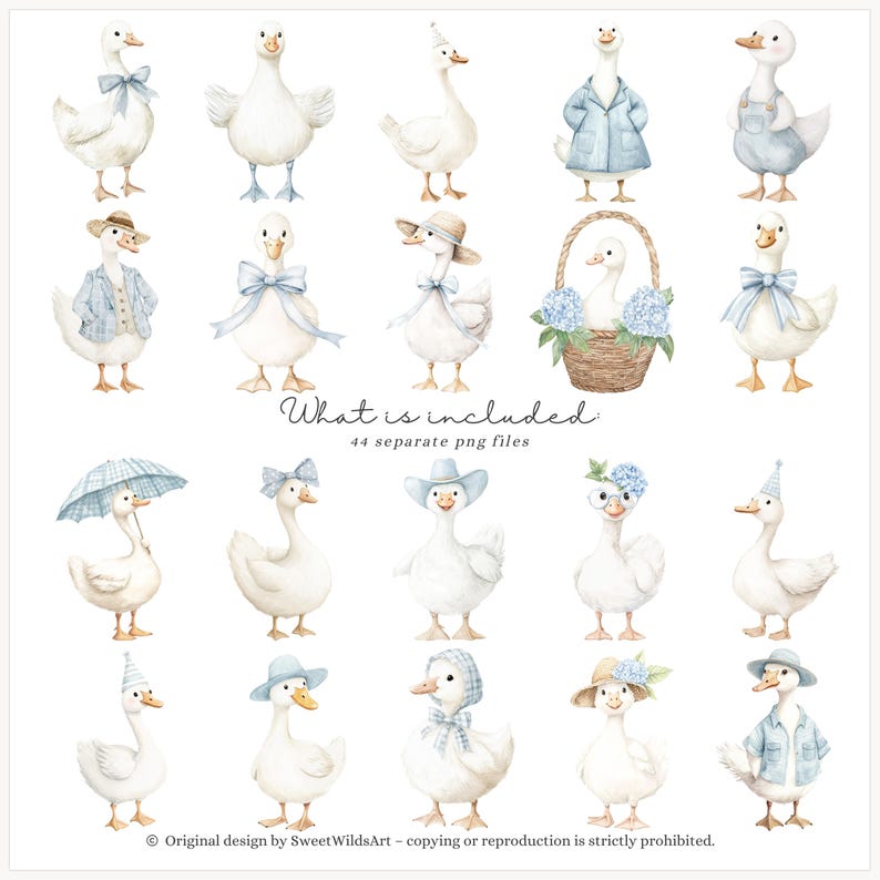 Akvarell pojkegås Clipart, blå fånig gås PNG, kokett barnkammardekor, boho babyshower-clipart, babypojkefödelsedag PNG, digitalt bild 3