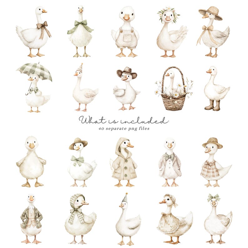 Pode incluir: Ilustra&ccedil;&otilde;es em aquarela de gansos em v&aacute;rias roupas e acess&oacute;rios. Os gansos s&atilde;o retratados com chap&eacute;us, la&ccedil;os e casacos. O texto "What is included 40 separate png files" tamb&eacute;m est&aacute; inclu&iacute;do.