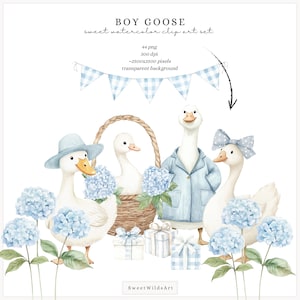 Akvarell pojkegås Clipart, blå fånig gås PNG, kokett barnkammardekor, boho babyshower-clipart, babypojkefödelsedag PNG, digitalt bild 7