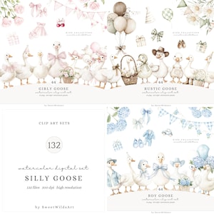 Aquarelle stupide oie des cliparts, PNG rustique d'oie, décoration de chambre d'enfant Boho, clipart baby shower, usage Commercial vintage de printemps Cottagecore
