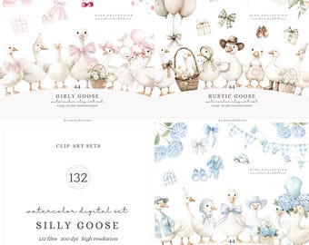 Watercolor Silly Goose Clipart, Rustic Goose PNG, Boho nursery decor, Baby Shower Clip Art, Spring Vintage Cottagecore Commercial Use