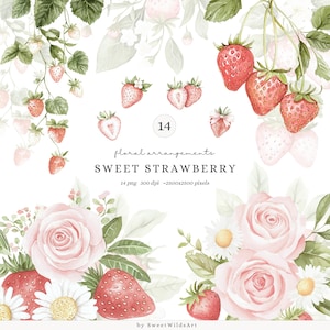 Compositions florales aquarelle fraise douce ClipArt, clipart fraise et Rose, PNG floral bébé fille, téléchargement numérique été