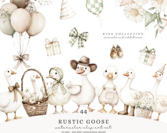 Watercolor Rustic Goose Clipart, Silly Goose PNG, Boho nursery decor, Baby Shower Clip Art, Spring Vintage Cottagecore Commercial Use