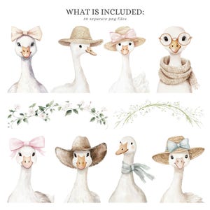 May include: A set of 30 digital illustrations featuring watercolor geese wearing various hats and accessories. The geese are white with pink, brown, and blue accents. The hats include a cowboy hat, a straw hat, and a pink bow. The accessories include a scarf and glasses.