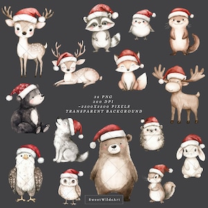 Watercolor Woodland Friends Clipart, Cute Xmas Animals PNG, Christmas ...