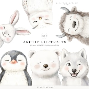 Retratos árticos em aquarela, clipart de animais fofos, filhotes de animais, clipart de chá de bebê de inverno, berçário polar, animais do Polo Norte boho