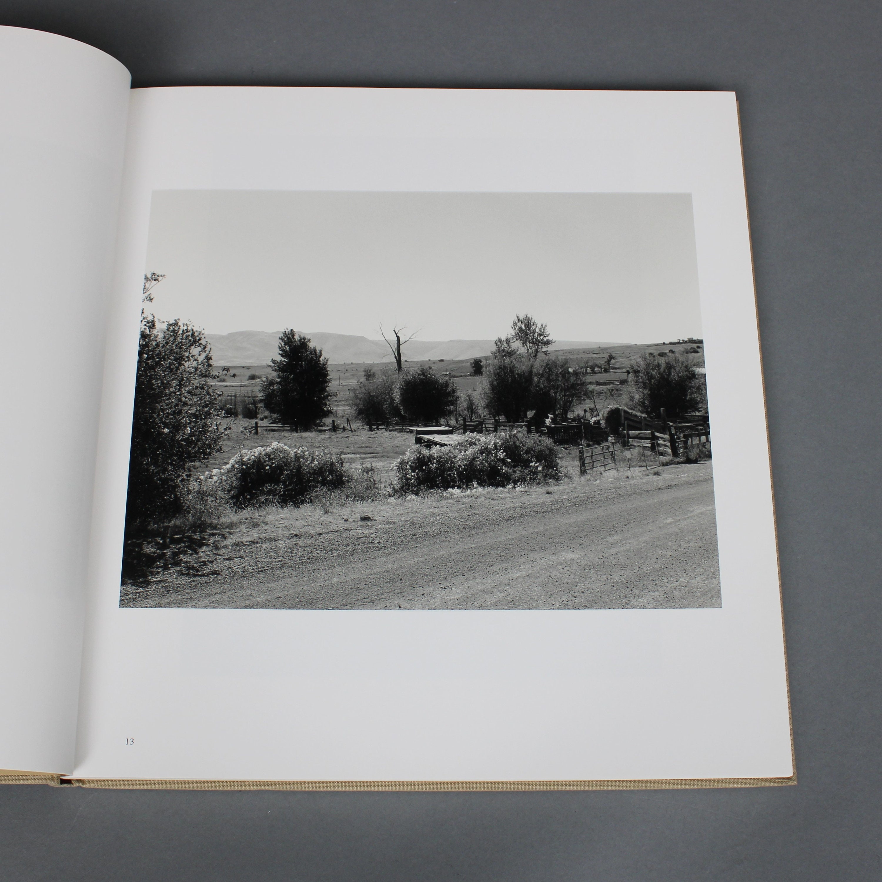 Photobook: Tree Line, Robert Adams, Hasselblad Award 2009 - Etsy