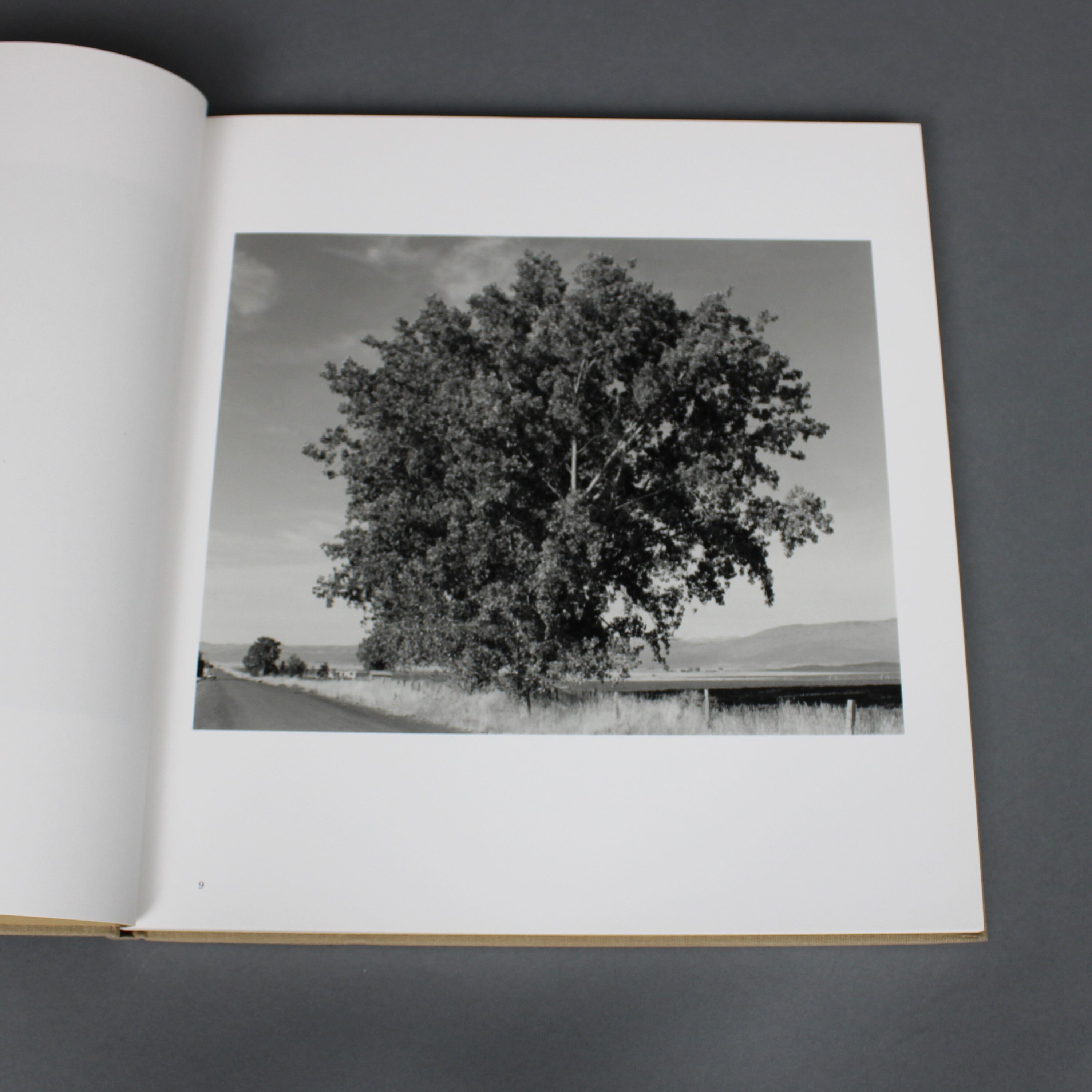 Photobook: Tree Line, Robert Adams, Hasselblad Award 2009 - Etsy Photobook: Tree Line, Robert Adams, Hasselblad Award 2009 - Etsy