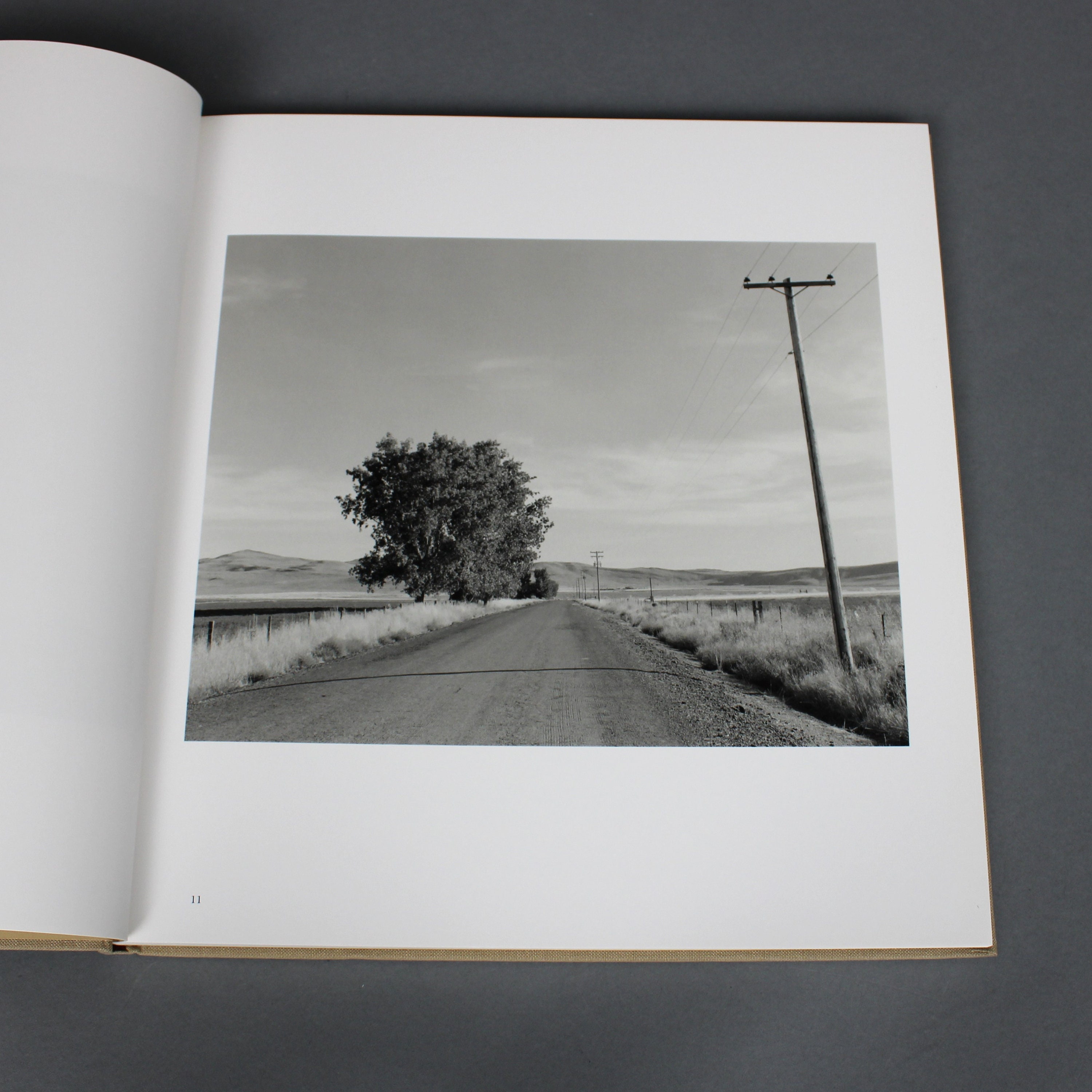 Amazon.com: Robert Adams: Tree Line: The Hasselblad Award