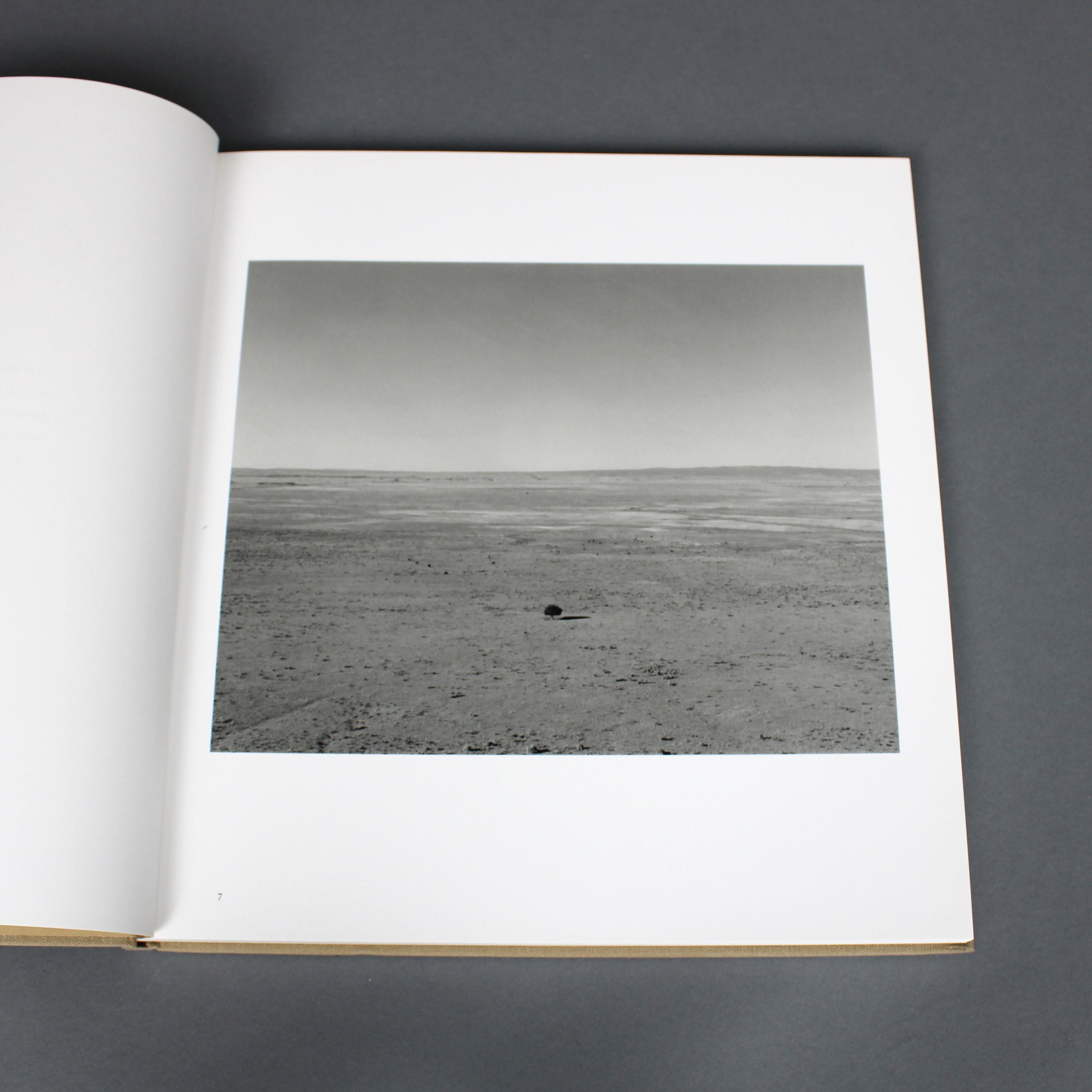 Photobook: Tree Line, Robert Adams, Hasselblad Award 2009 - Etsy Photobook: Tree Line, Robert Adams, Hasselblad Award 2009 - Etsy