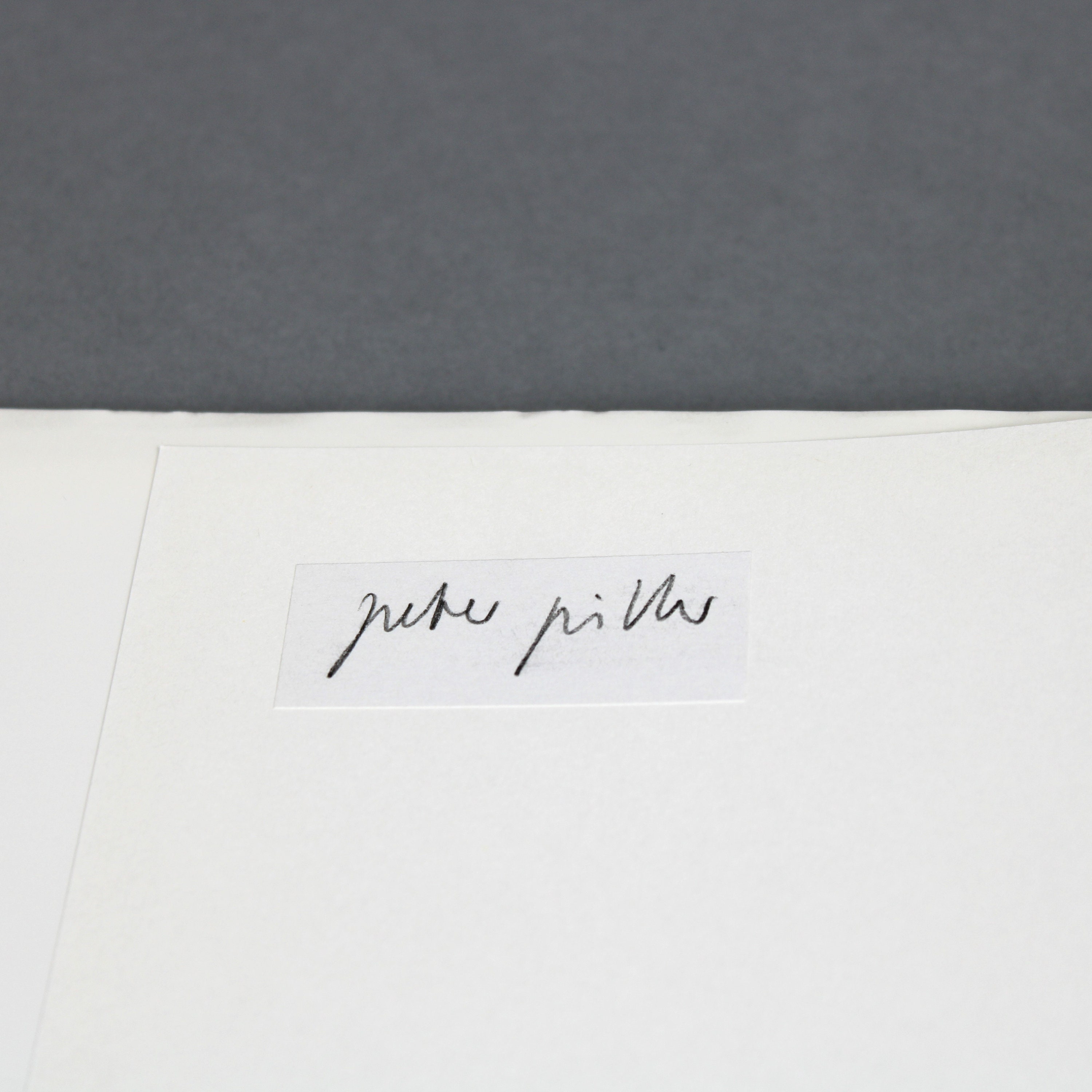 洋書 peter piller  von erde schoner ARCHIV PETER PILLER: Von Erde Schöner | Peter Piller