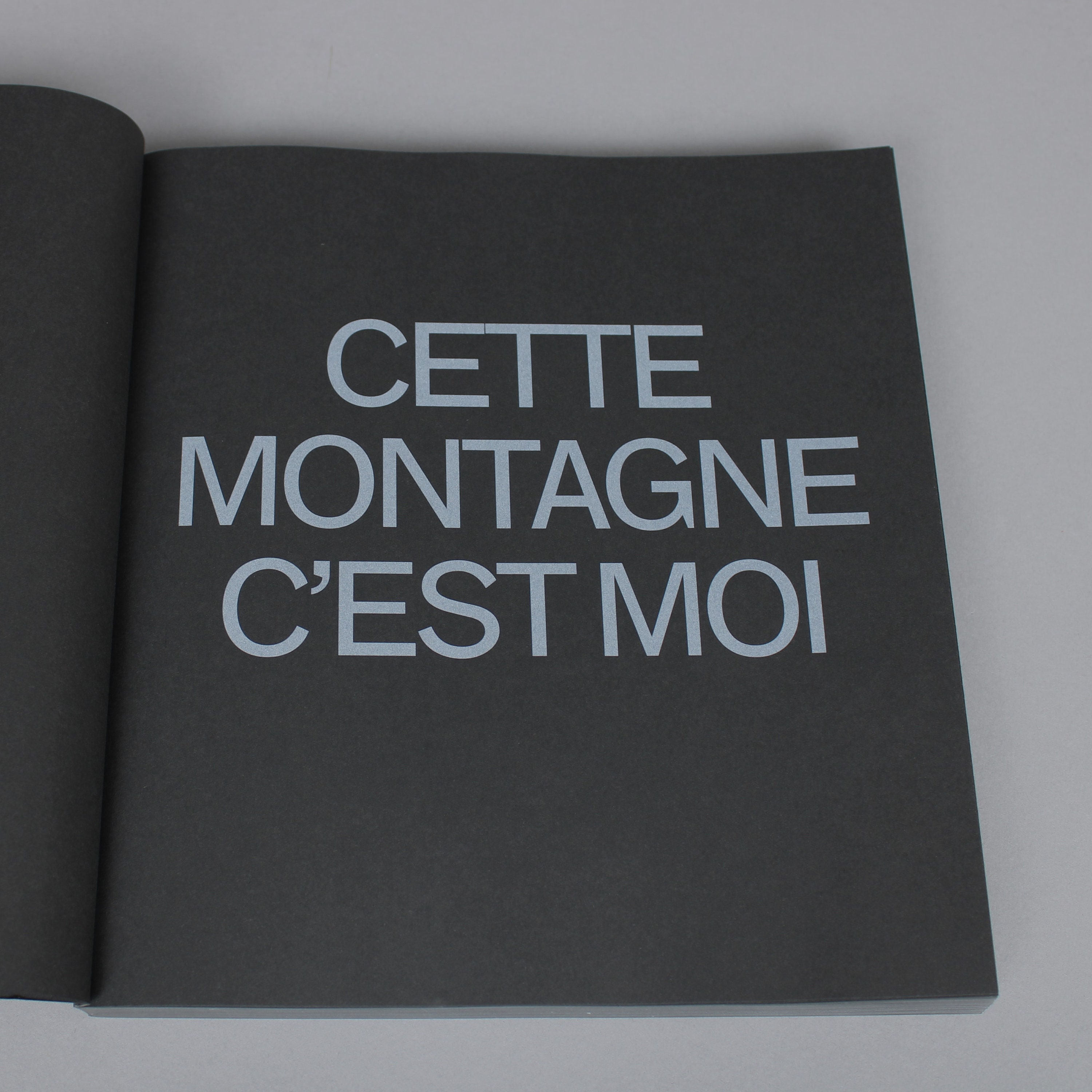 アテッサ新作モデル Cette Photobook: SIGNED Buy Montagne Worms Witho Moi, C'est アート・デザイン・音楽