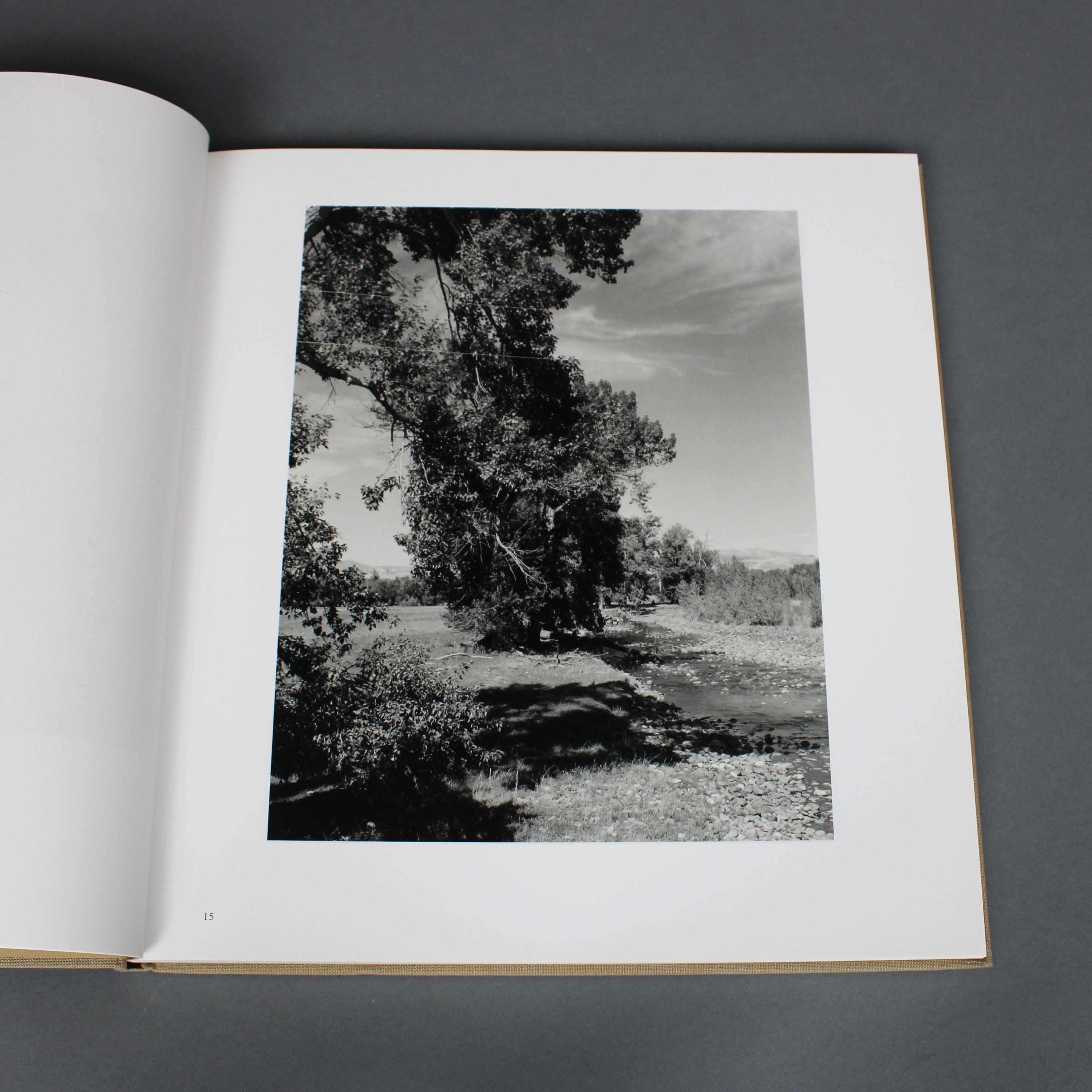 Photobook: Tree Line, Robert Adams, Hasselblad Award 2009 - Etsy