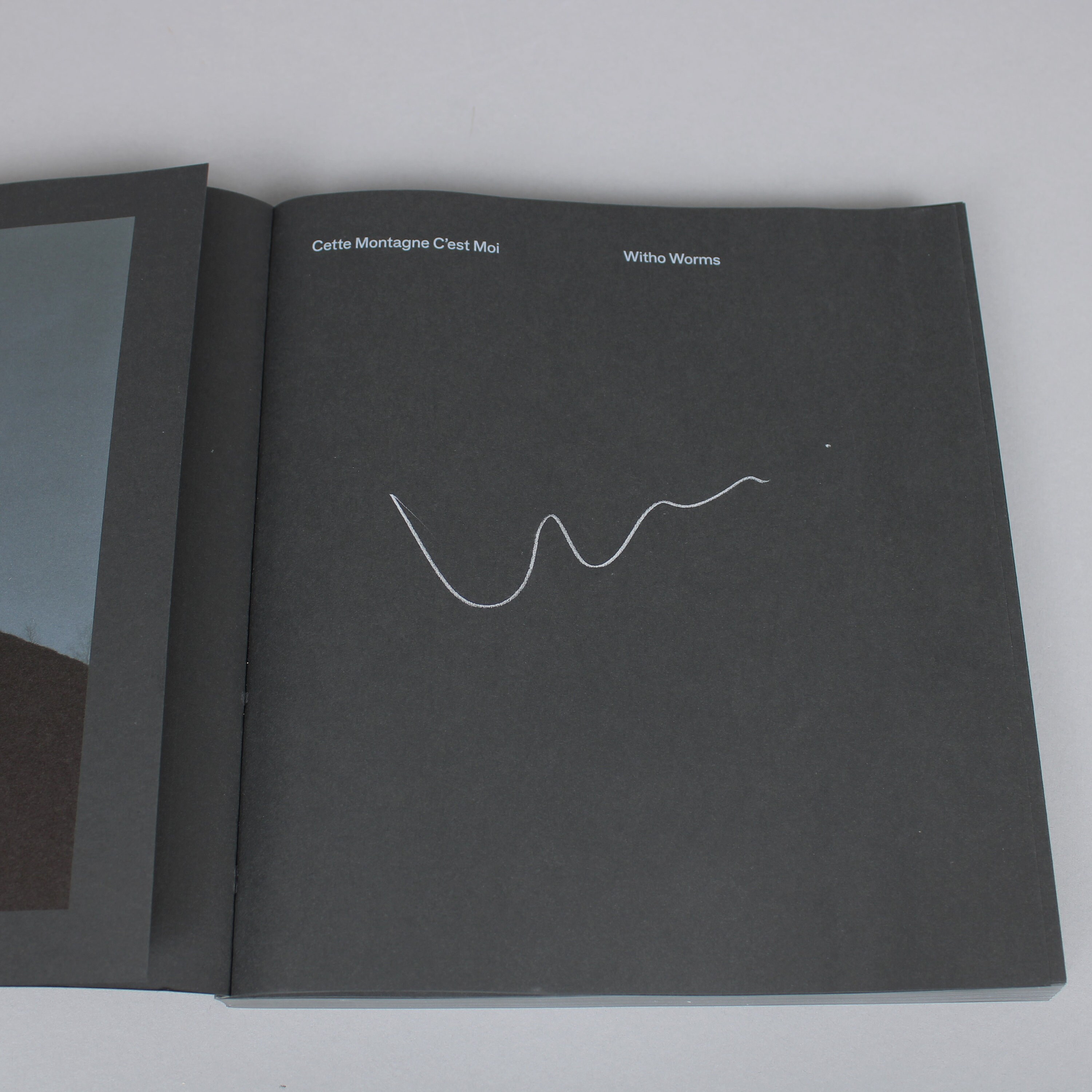 Buy SIGNED Photobook: Cette Montagne C'est Moi, Witho Worms