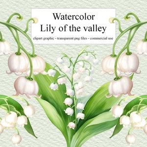 Aquarelle muget PNG, Clipart, Digital Scrapbook muget, muget Clipart, muget Png, utilisation commerciale