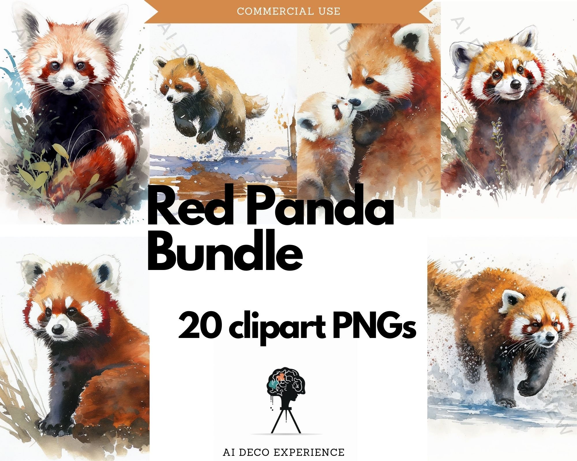 Roter Panda Images – Browse 471 Stock Photos, Vectors, and Video